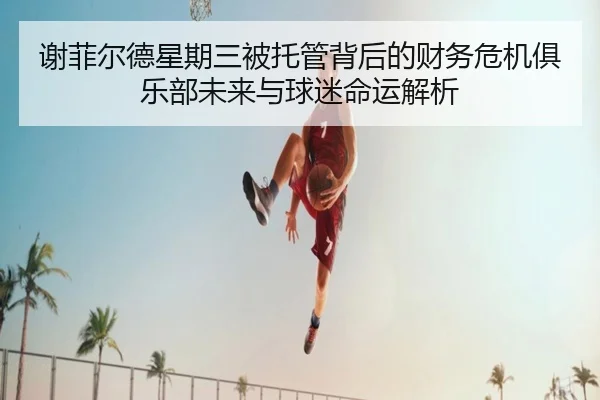 xie-fei-er-de-xing-qi-san-bei-tuo-guan-bei-hou-de-cai-wu-wei-ji-ju-le-bu-wei-lai-yu-qiu-mi-ming-yun-jie-xi-2-669.jpg